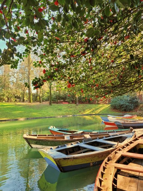 Lake Boats, Braga Portugal, Lake Boat, Southern Europe, Lake Landscape, Portugal Travel, Nature Illustration, Winter Photography, Beautiful Landscapes