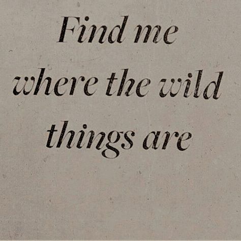 Wild Things, Quote Aesthetic, Pretty Words, Pretty Quotes, Thoughts Quotes, The Words, Meaningful Quotes, Beautiful Words, Book Quotes