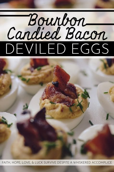 Bourbon Candied Bacon Deviled Eggs - At our house, it doesn’t get any better than deviled eggs with bacon. Bourbon candied bacon, that is. If you can resist these bacon-loaded deviled eggs, then there is most definitely a huge problem because we certainly can't. These are clearly an appetizer that will disappear in the blink of an eye, so to be safe, we suggest doubling the recipe. Carmelized Bacon, Bacon Deviled Eggs Recipe, Deviled Eggs With Bacon, Devilled Eggs Recipe, Eggs With Bacon, Eggs Deviled, Deviled Eggs Recipe Easy, Potluck Food, Devilled Eggs Recipe Best