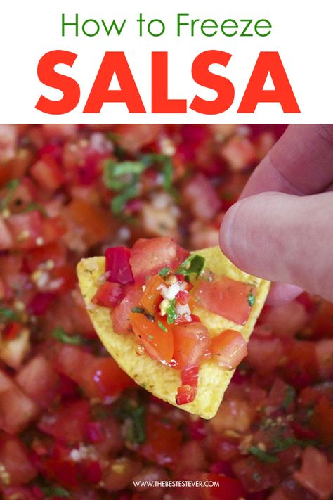 Freeze Salsa Can You, Homemade Salsa With Fresh Tomatoes Freezer, How To Prepare Tomatoes For Salsa, Salsa Recipe To Freeze, How To Freeze Homemade Salsa, Salsa For Freezing, How To Freeze Salsa, Freezing Salsa How To, Freezing Salsa Recipes