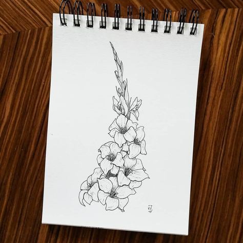 Rosine on Instagram: “| GLADIOLUS | . Quick practise to refresh how gladiolus work for a bigger piece this week! They're so colourful and majestic and I've made…” Gladiolus Tattoo Line Art, Gladiolus Flower Outline, Gladiolus Line Drawing, Gladiolus Sketch, Gladiolus Flower Line Art, Plant Sketchbook, Gladiolus Botanical Illustration, Ink Flowers, Flower Sketches