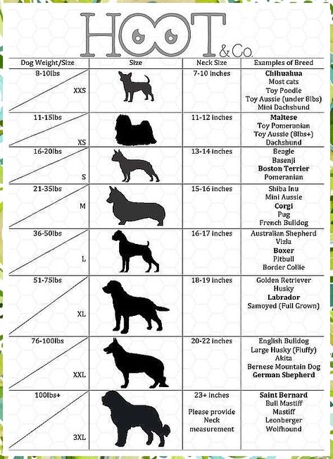 Dog Clothes - Get all your supplies met with just one simple click to visit. Act NOW! Dog Bandana Pattern, Puppy Obedience Training, Positive Dog Training, Dog Bandanna, Bandana Pattern, Basic Dog Training, Sweet Cat, Dog Clothes Patterns, Dog Rooms