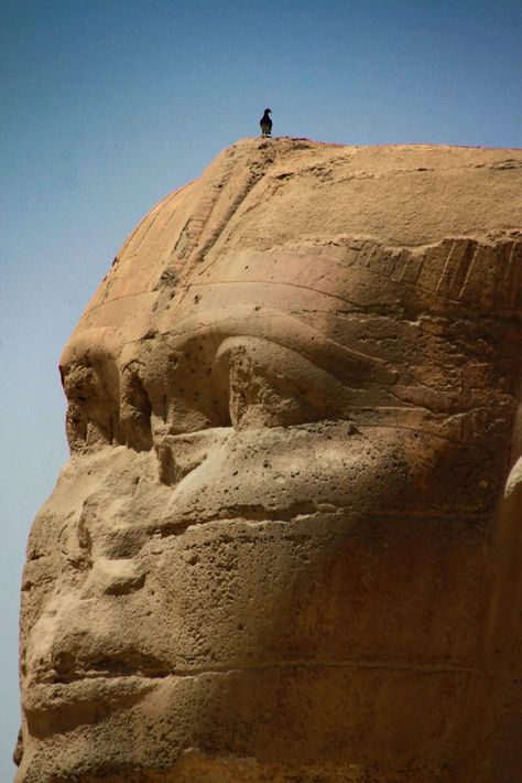 Here Are 10 Striking Close-Up Images of the Great Sphinx of Egypt The Great Sphinx Of Giza, Sphinx Egypt, Sphinx Of Giza, Giza Plateau, Giza Pyramids, Pyramids Egypt, Ancient Egypt History, The Sphinx, Ancient Statues