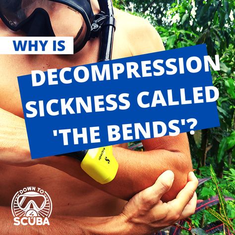 Decompression Sickness is a very real risk for all scuba divers. But where does the term 'The Bends' come from and why? Take a look at the history of DCS in our latest article. #scubadiving #diving #scuba #risks #decompression #history #thebends #waterworld #snorkeling #snorkel #merman #dive #ocean #funfacts Decompression Sickness, Diving Scuba, The Bends, Horror Comics, Scuba Diver, Diy Christmas Cards, Scuba Diving, Diver, Snorkeling