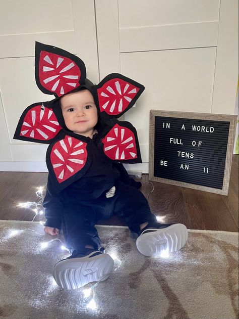 Look at my 11 months old picture. The cutest demogorgon ever 💜 Onesie: shein Petals: made of a fabric from the dollar store 😂 #strangerthings #demogorgon #11months 11 Month Old Baby Photoshoot Ideas, Baby 11 Months Photography, 11 Month Milestones Photo Ideas, 11 Months Baby Photoshoot Ideas, 11 Month Baby Photo Ideas, Creative Monthly Baby Photos, Milestone Ideas, Mommy Son Outfits, 11 Month Old Baby