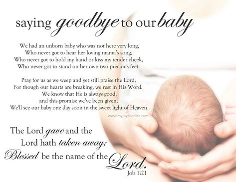 Remembering Baby, Angel Baby Quotes, Angel Baby Clothes, Bereaved Mothers, Infant Loss Memorial, Mother Poems, Infant Loss Awareness, Pregnancy And Infant Loss, Unborn Baby