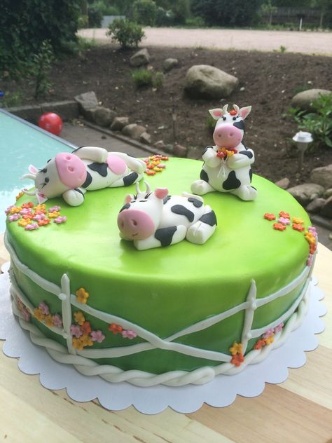 Small Cow Cake, Cow Cake Birthday, Cow Cake Ideas, Farming Cake, Cake Cow, Cow Print Cakes, Cow Birthday Cake, Snake Cakes, Cow Cake