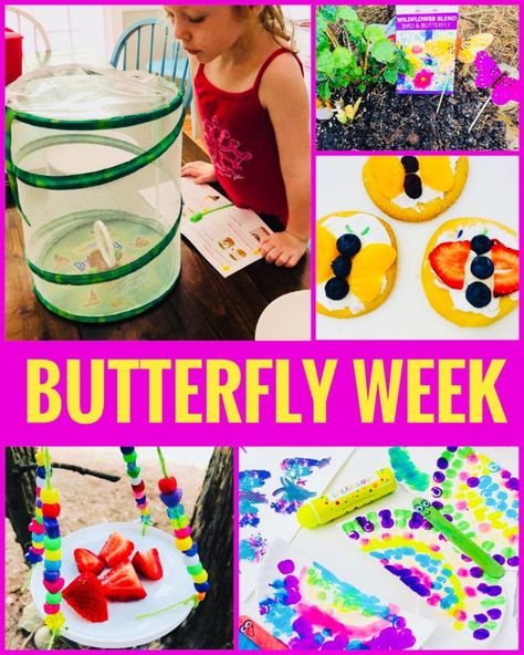 Butterfly Themed Activities For Preschool, Butterfly Theme For Preschool, Butterflies For Kindergarten, Butterfly And Caterpillar Activities, Pre K Butterfly Activities, Butterfly Week Preschool, Butterfly Theme Preschool Activities, Montessori Butterfly Activities, Butterfly Lesson Plans For Toddlers