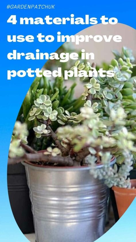 4 Materials to Use to Improve Drainage in Potted Plants 11 Plant Drainage Ideas, Potted Plant Drainage Ideas, Planters Without Drainage Holes, Drainage For Potted Plants, How To Pot A Plant Without Drainage, Plants For Drainage Ditch, Cheap Plant Pots, Drainage Ideas, Shallow Planters