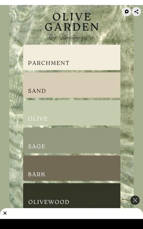 Olive Green Goes With What Color, Sage Green And Accent Colors, Sage Natural Color Palette, Olive Green Colour Pallete, White Brown Green Color Palette, Bedroom Olive Green Accents, Earthy Green Wedding Colors, Sage Green Bedroom Color Schemes, Green Sage Colour Palette