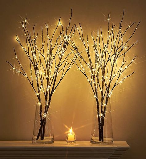 Branch Lights, Branch Centerpieces, Vase With Branches, Warm White Fairy Lights, Twig Lights, Christmas Branches, Light Up Tree, White Fairy Lights, Led Decoration