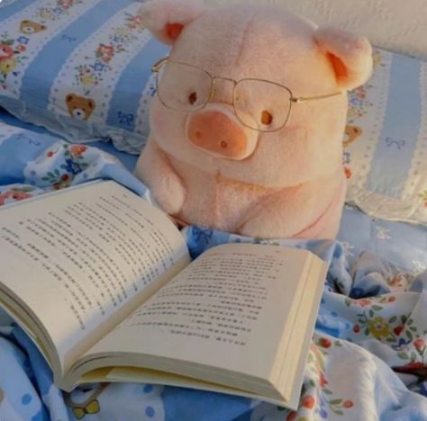 Reading, Bed