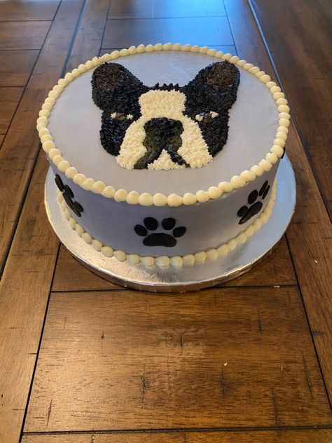 Boston Terrier Cake Ideas, Frenchie Cake Ideas, Frenchie Birthday Cake, Frenchie Cake, French Bulldog Cake, Boston Terrier Cake, Boston Cake, Dog Bone Cake, Dogs Things