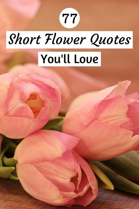 Short Flower Quotes Short Poems About Flowers, Flower Quotes Short, Short Flower Quotes, Gardening Quotes Inspirational, Floral Inspirational Quotes, Flower Quotes Love, Flower Quotes Inspirational, Flower Poetry, Beautiful Short Quotes