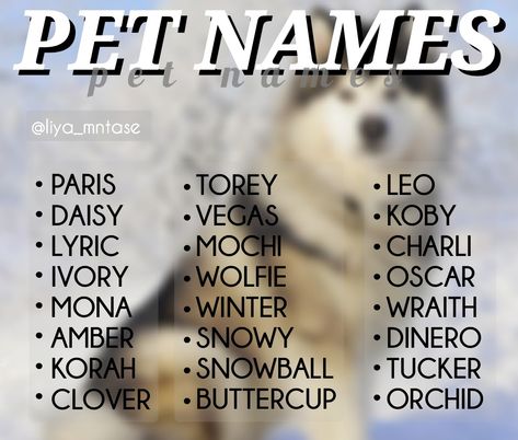 Baddie Dog Names, Aesthetic Pet Names, Name For Pets, Baddie Names, Adopt Me Pet Names, Cute Dogs Name, Names For Pets, Pet Name Ideas, Preppy Names