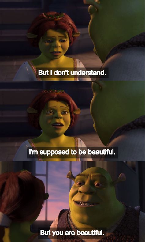 Shrek (2001) by Andrew Adamson and Vicky Jenson Robin Hood Quotes, Shrek Quotes, Shrek 2001, Female Robin, Fiona Shrek, Shrek Funny, Childhood Quotes, Mike Myers, Tv Series Quotes