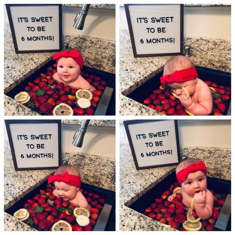 It’s sweet to be 6 months! 🍓🍋 ideas for baby in sink with fruit #6months #milestone #strawberry #lemon #sink Sweet 6 Months Photoshoot, Diy 7 Month Photoshoot, Strawberry Half Birthday, Watermelon Baby Pictures, Strawberry Baby Photo Shoot, 6 Month Baby Picture Ideas Half Birthday, 6 Months Baby Photoshoot Ideas, Half Birthday Party, 6 Month Baby Picture Ideas