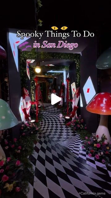 California • Travel & Hidden Gems • SoCal Activites on Instagram: "Alice in Wonder Land Pop Up Event tonight in San Diego?!?😱✨| 📍Downtown San Diego 

🚙 only 2 hrs from LA and 1.5 hrs from OC! 

#sandiego #sandiegohiddengems #thingstodoinsandiego #sandiegocalifornia #california #californiaadventures #visitcalifornia #halloween #spookyseason #gaslampquarter #gaslampdistrict #beetlejuice #aliceinwonderland #speakeasy #popup #restaurant #funthingstodo #gaslampsandiego #downtownsandiego #summer #bucketlist #sandiegoliving #sandiegolife #visitsandiego #socaladventures #socallife #socal #sandiegoca #la #oc" Alice In Wonder Land, San Diego Downtown, Visit San Diego, Wonder Land, San Diego Living, Gas Lamp, Downtown San Diego, Visit California, Pop Up Event