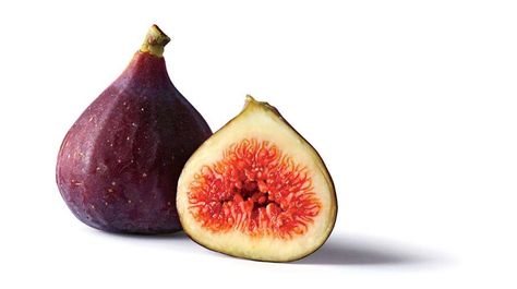 Fig Varieties, Papa John, Southern Living Plants, Fig Fruit, Papa Johns, Grape Bunch, Growing Fruit, Doodle Illustration, City Garden