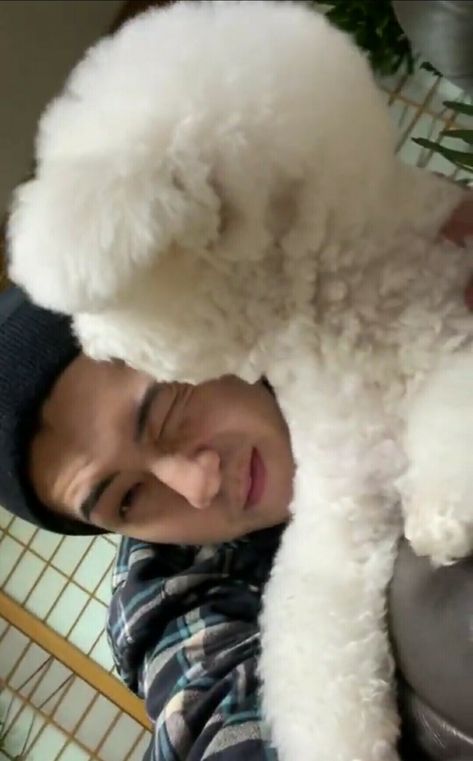 Sehun And Vivi, Sehun Vivi, Exo Icons, Sehun Cute, Exo Chibi, Exo Sehun, Exo Members, Oh Sehun, Korean Men