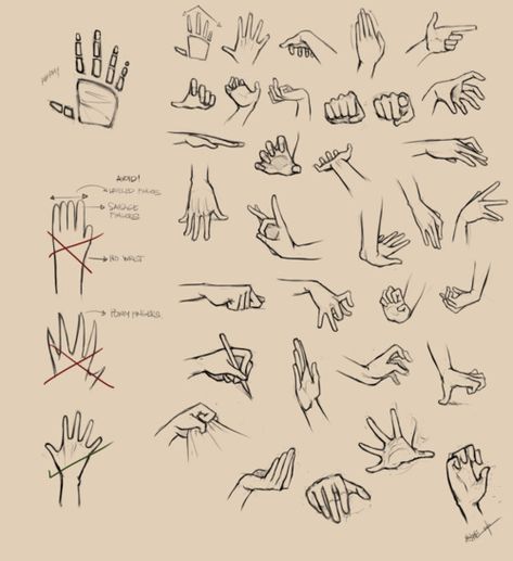 I used to suck at drawing hands - Imgur Hand Drawings, Drawing Hands, Výtvarné Reference, 그림 낙서, Seni 2d, Hand Reference, Pose References, Body Anatomy, 인물 드로잉