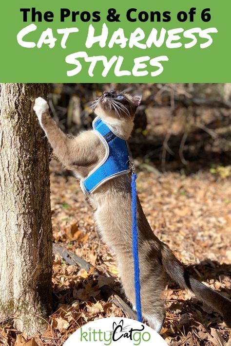 With so many cat harnesses out there, it can be overwhelming trying to pick one out. We've broken them down into the 6 most popular styles and laid out the pros and cons of each. Tips for how to measure your cat for a harness are included! Click to learn more. Diy Cat Harness, Cat Harness Pattern Free, Diy Cat Harness How To Make, Cat Harness Diy Pattern, Cat Leash And Harness Diy, How To Train A Kitten To Do Tricks, Cat Collar, Cat Harness And Leash, Best Cat Harness