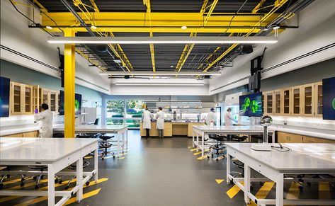 Laboratory Design, Science Labs, Fab Lab, Neo Pop, Innovation Lab, Innovation Centre, Inquiry Based Learning, Lab Tech, Color Lab