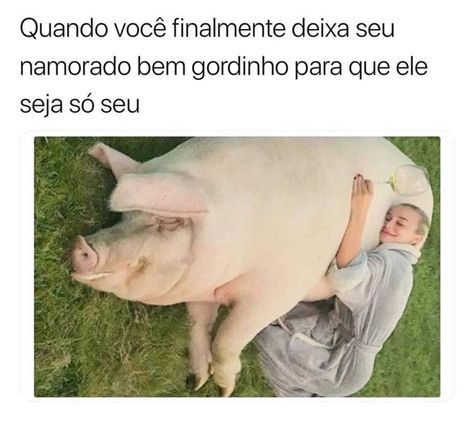 Memes Br, Memes Humor, Kids On The Block, Animals Of The World, New Memes, New Photo, Stand Up, Funny Memes, Cute Animals