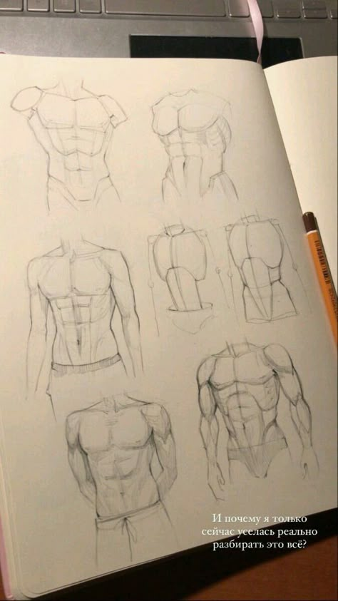 Sketch Male Bodies, Male Torso Anatomy Drawing, Guys Body Drawing, Male Torso Drawing Tutorials, Human Anatomy Art Male, Man Chest Drawing, How To Draw Male Torso, Woman Body Anatomy Drawing, Moe Art Style Anatomy