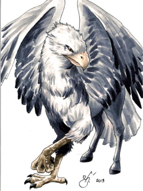 Hippogriff Fanart Harry Potter, Harry Potter Creatures, Art Harry Potter, Harry Potter Tattoos, Potter Art, Mythical Animal, Harry Potter Drawings, An Eagle, Wizarding World Of Harry Potter