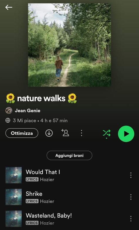 strolling through your home town, summer, autumn, nature walks, spotify, playlist curator Playlist Curator, Walking Playlist, Perfect Playlist, Jean Genie, Spotify Playlists, Autumn Nature, Home Town, Music Mood, Hozier