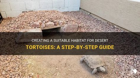 Creating A Suitable Habitat For Desert Tortoises: A Step-By-Step Guide | PetShun Tortoise Outdoor Habitat, Desert Tortoise Habitat Outdoor, Sulcata Tortoise Habitat Outdoor, Tortoise Habitat Outdoor, Tortoise Enclosure, Tortoise Habitat, Desert Tortoise, Sulcata Tortoise, Reptile Cage