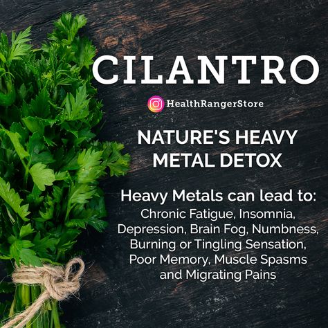 Benefits Of Cilantro, Super Foods List, 12 Week Challenge, Heavy Metal Detox, Food Benefits, Week Challenge, Herbs Plants, Healthy Wealthy, Food As Medicine