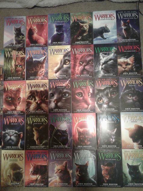 Minty cat:What do you mean I'm obsessed with warrior cats? Bluestream: me too. Firestar:I don't call it obsession, I prefer the term irrational happiness. Lmao who am I kidding, I'm totally obsessed and I LOVE it! Warrior Cats Aesthetic, Warrior Cats Movie, Warrior Cats Unlimited Edition, Warrior Cats The Prophecies Begin, Warrior Cat Books, Warriors Erin Hunter, Cat Facts Text, Warrior Cats Books Collection, Warrior Cat Books Covers