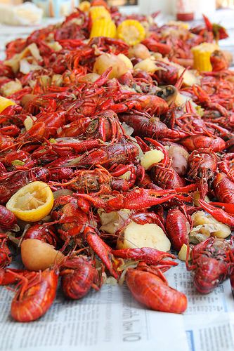 Shrimp And Crawfish Boil, Crawdad Boil, How To Boil Crawfish, Cooking Crawfish, How To Cook Crawfish, Crawfish Boil Recipe, Boiled Crawfish, Crawfish Party, Crawfish Boil Party