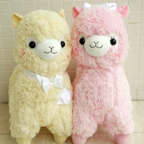 Kawaii Alpaca, Llama Stuffed Animal, Japan Wedding, Alpaca Stuffed Animal, Cute Alpaca, Cute Llama, Cute Stuffed Animals, Wedding Couple, Plush Animals