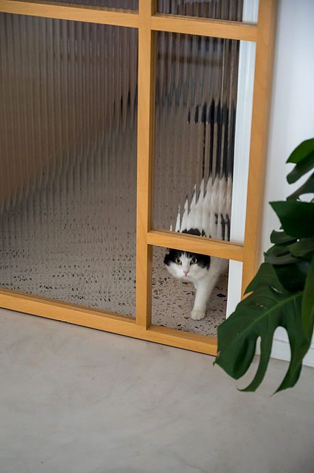 Cat Door Ideas, Cat Architecture, Cat Litter Box Ideas, Litter Box Ideas, Cat Wall Furniture, Cat House Diy, Christmas Tree Decorating, Reeded Glass