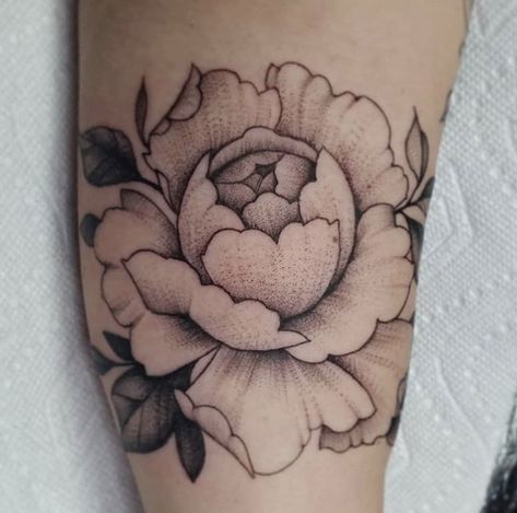 Single Peony Tattoo, White Peony Tattoo, Peony Tattoo Design Drawing, Flower Tattoos Peony, Peony Tattoo Shoulder, Peony Tattoo Black, Simple Peony Tattoo, Peony Knee Tattoo, Peony Arm Tattoo