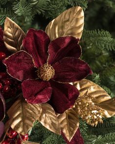 Christmas Tree Ideas Themed, Christmas Cottages, Magnolia Bouquet, Cranberry Christmas, Burgundy Christmas, Christmas Tree Picks, Christmas Picks, Christmas Tree Ideas, Cozy Ambiance