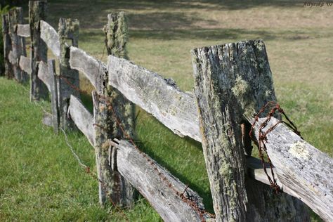 Beautiful old fence | Goegreous old fence on the Durras Nort… | Flickr Antique Fence Ideas, Old House Fence, Fence Countryside, Old Farm Fence, Farm Fence Aesthetic, Ranch Fencing, Farmhouse Console Table, Ranch Sign, Rustic Fence