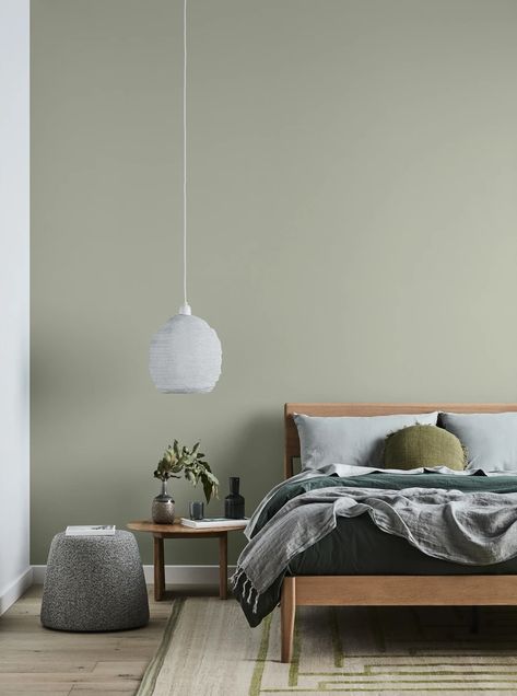 Moorland Greens | Dulux Dulux Green Paint, Dulux Paint Colours, Red Brick Exteriors, Popular Color Schemes, Dulux Paint, Paint Color Schemes, Green Paint Colors, Green Walls, Duck Egg Blue