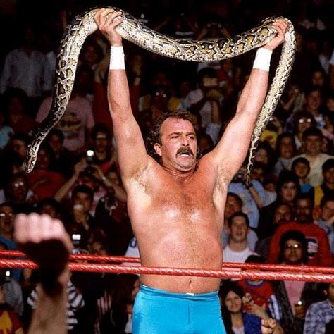 Jake The Snake Roberts Wcw Wrestlers, Santino Marella, Jake The Snake, Jake The Snake Roberts, The Snake, Wwe Superstars, Pro Wrestling, Wwe, Sumo Wrestling