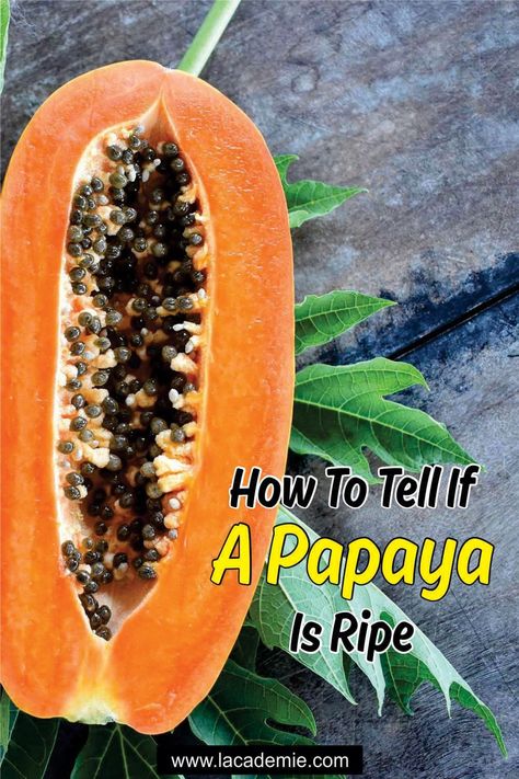 Ripeness Guide: How to Tell If a Papaya Is Ripe in 2024 Papaya Ripe When Is, Fruit Guide, Papaya Plant, Papaya Recipes, Ripe Papaya, Fruit Soup, Papaya Fruit, Green Papaya, Papaya Fruits