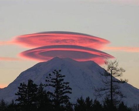 Lenticular clouds, technically known as altocumulus standing lenticularis, are stationary lens-shaped clouds that form at high altitudes, normally aligned at right-angles to the wind direction. Lenticular Clouds, Wow Photo, 달력 디자인, Mt Rainier, Pink Clouds, Naha, Chiaroscuro, Natural Phenomena, Alam Yang Indah