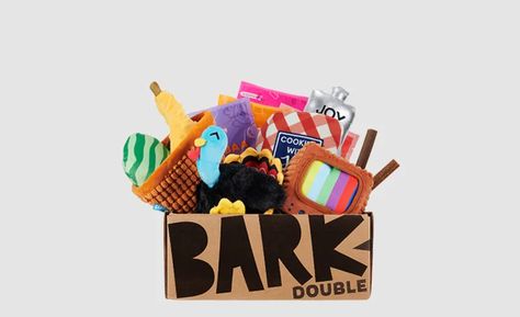 Best Subscription Boxes — Brit + Co - Brit + Co Learn Singing, Dollar Shave Club, Best Subscription Boxes, Peanuts Christmas, Bark Box, Beauty Box Subscriptions, Friends Show, The Ultimate Gift, Subscription Boxes