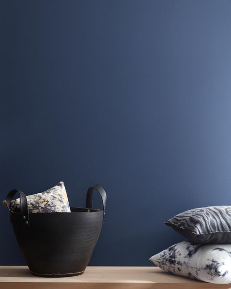 Paint Color Swatches, Benjamin Moore Blue, Blue Nova, Dark Blue Paint, Color Whisper, Blue Paint Colors, Paint Colors Benjamin Moore, Benjamin Moore Colors, Benjamin Moore Paint