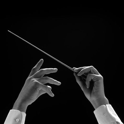 Arte Jazz, Orchestra Conductor, Hand Reference, Symphony Orchestra, Dark Academia Aesthetic, Black And White Aesthetic, Music Aesthetic, Poses References, White Aesthetic