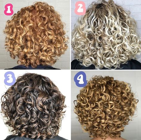 22 Curly Bobs For Older Women To Help You Age Like Fine Wine Curly Bobs For Older Women, Older Woman Curly Hair, Curly Updos For Medium Hair, Bob Riccio, Curly Hair Dos, Curly Bobs, Grey Hair And Glasses, Curled Hairstyles For Medium Hair, Short Permed Hair