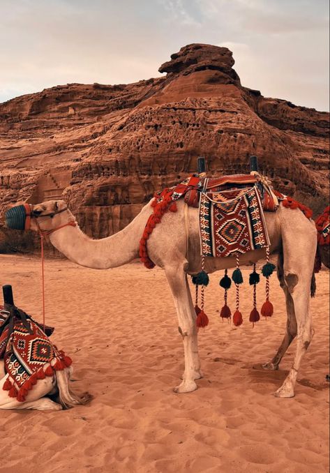 Saudi Arabia Desert Aesthetic, Najd Saudi Arabia, Ancient Saudi Arabia, Saudi Desert Aesthetic, Desert Saudi Arabia, Arab Place, Al Ula Saudi Arabia Aesthetic, Alula Saudi Arabia Aesthetic, Riyadh Saudi Arabia Aesthetic