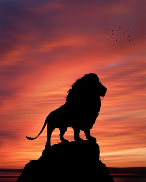 Aliasgar Dar shared a photo on VERO™ Safari Project, Lion Sunset, Lion Nature, Africa Sunset, Africa Painting, African Sunset, Warriors Wallpaper, Pride Rock, Lion Wallpaper